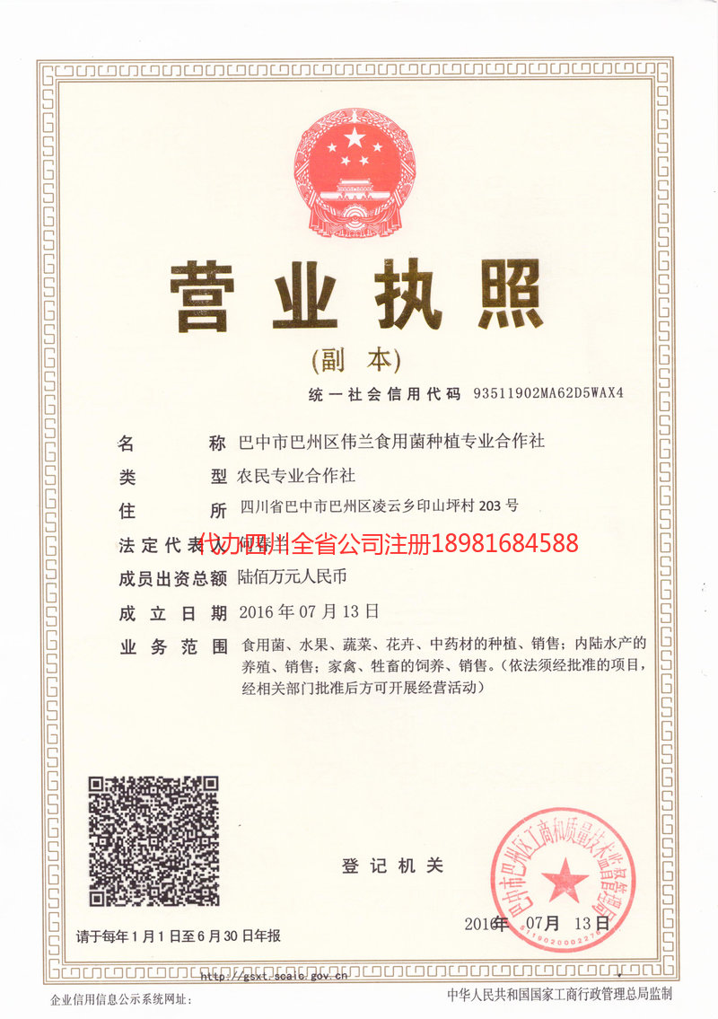 老河口老河口伟兰食用菌种植专业合作社